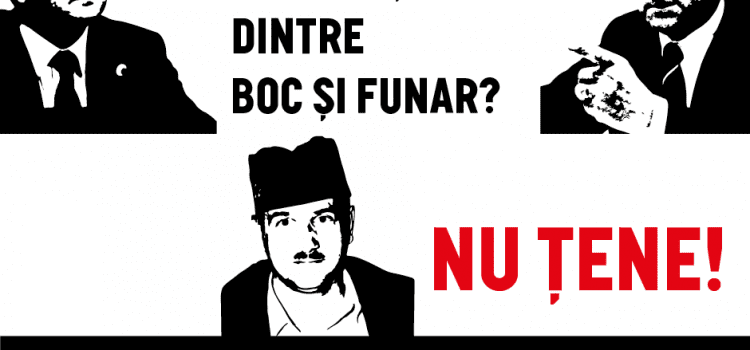 Cereri de informații publice