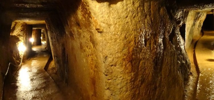 Guvernul României refuză accesul experților UNESCO în galeriile de la Roșia Montană! (DOCUMENTE)