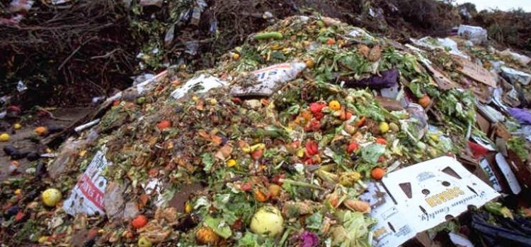 De ce nu e funcțională legea risipei alimentare?
