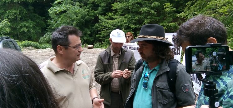 Veste bună pentru pădurile din parcurile naționale ale României!