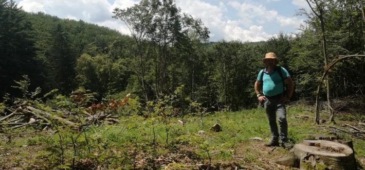 USR a solicitat comisie de anchetă parlamentară a abuzurilor din Parcul Național Semenic – Cheile Carașului